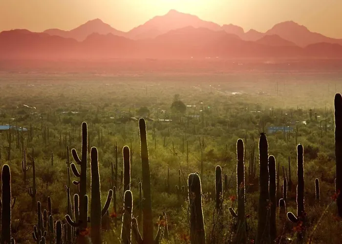 The Sonoran Sanctuary In Sahuarita